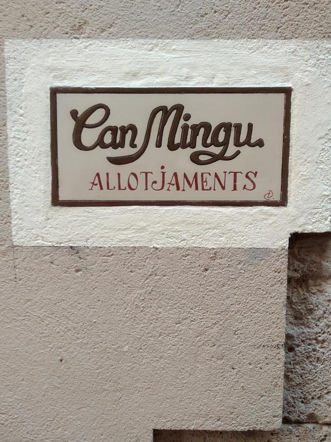 Apartament Can Mingu 2On Pis バサルー エクステリア 写真